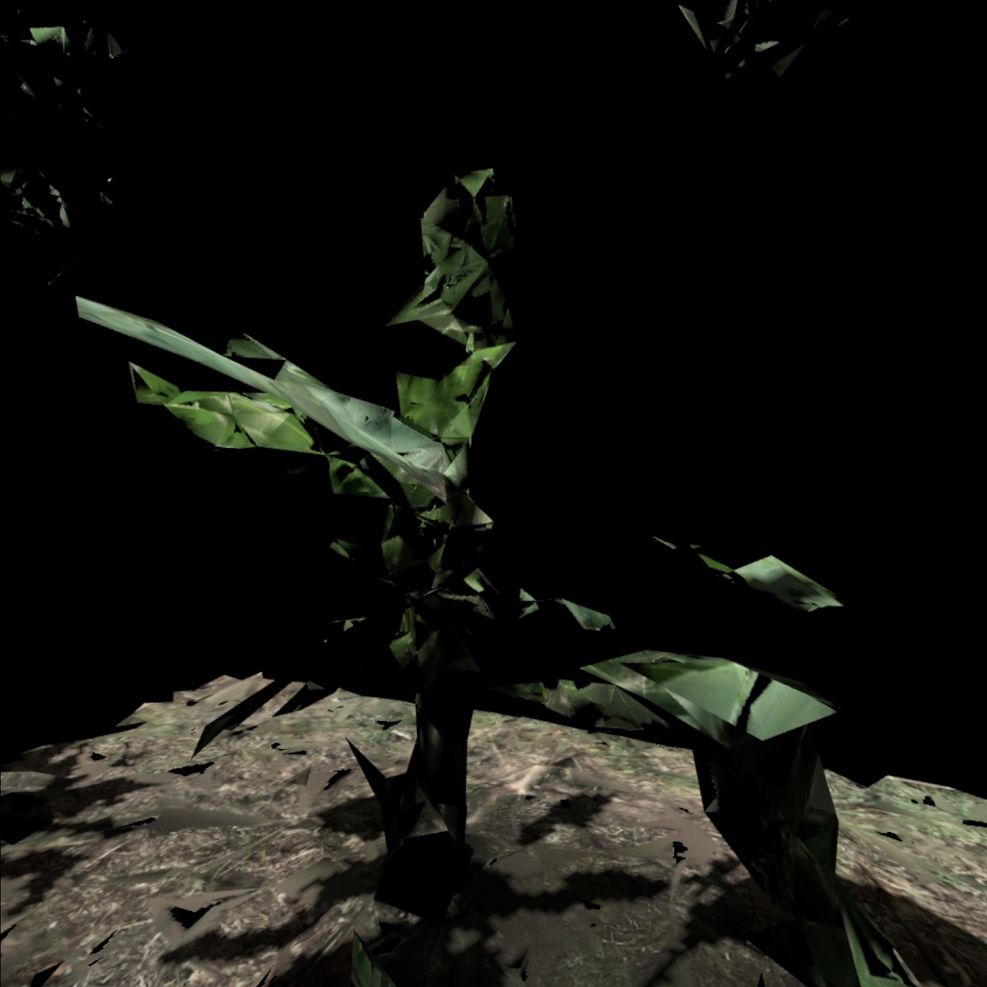 Puerto Narino VR
